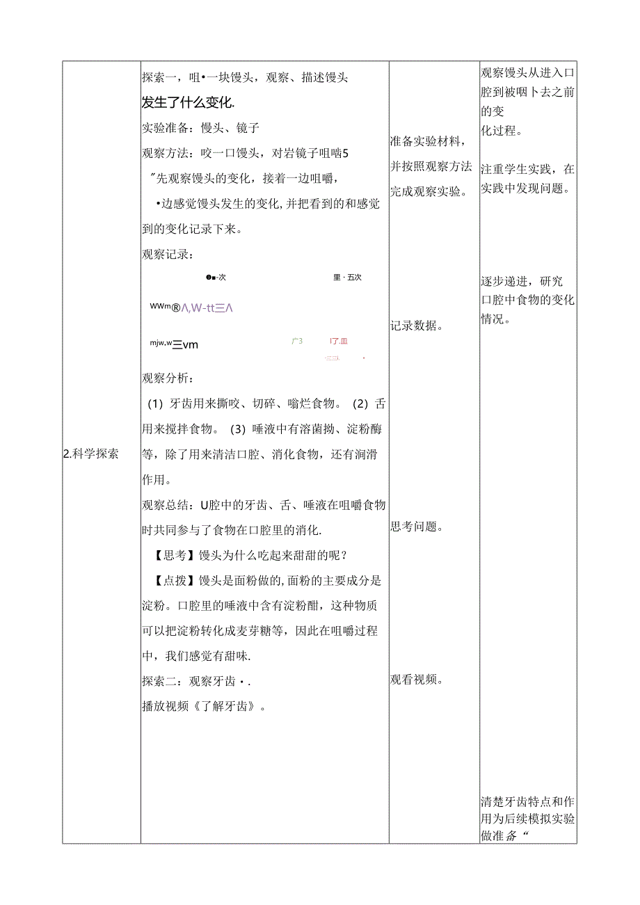 2.7《食物在口腔里的变化》教案 教科版科学四年级上册.docx_第2页