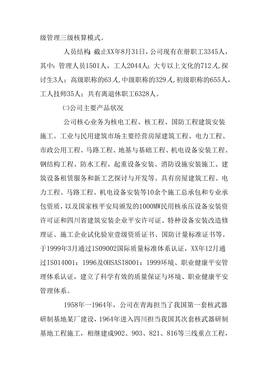 企业信息化建设工作总结.docx_第2页