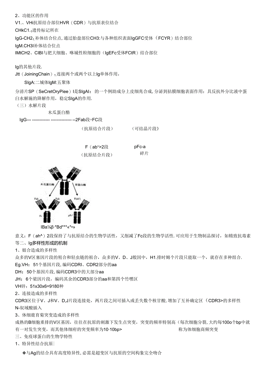 免疫学每章要点(ppt精简).docx_第3页