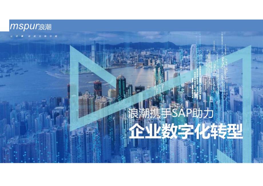 SAP助力企业数字化转型-V2.docx_第1页