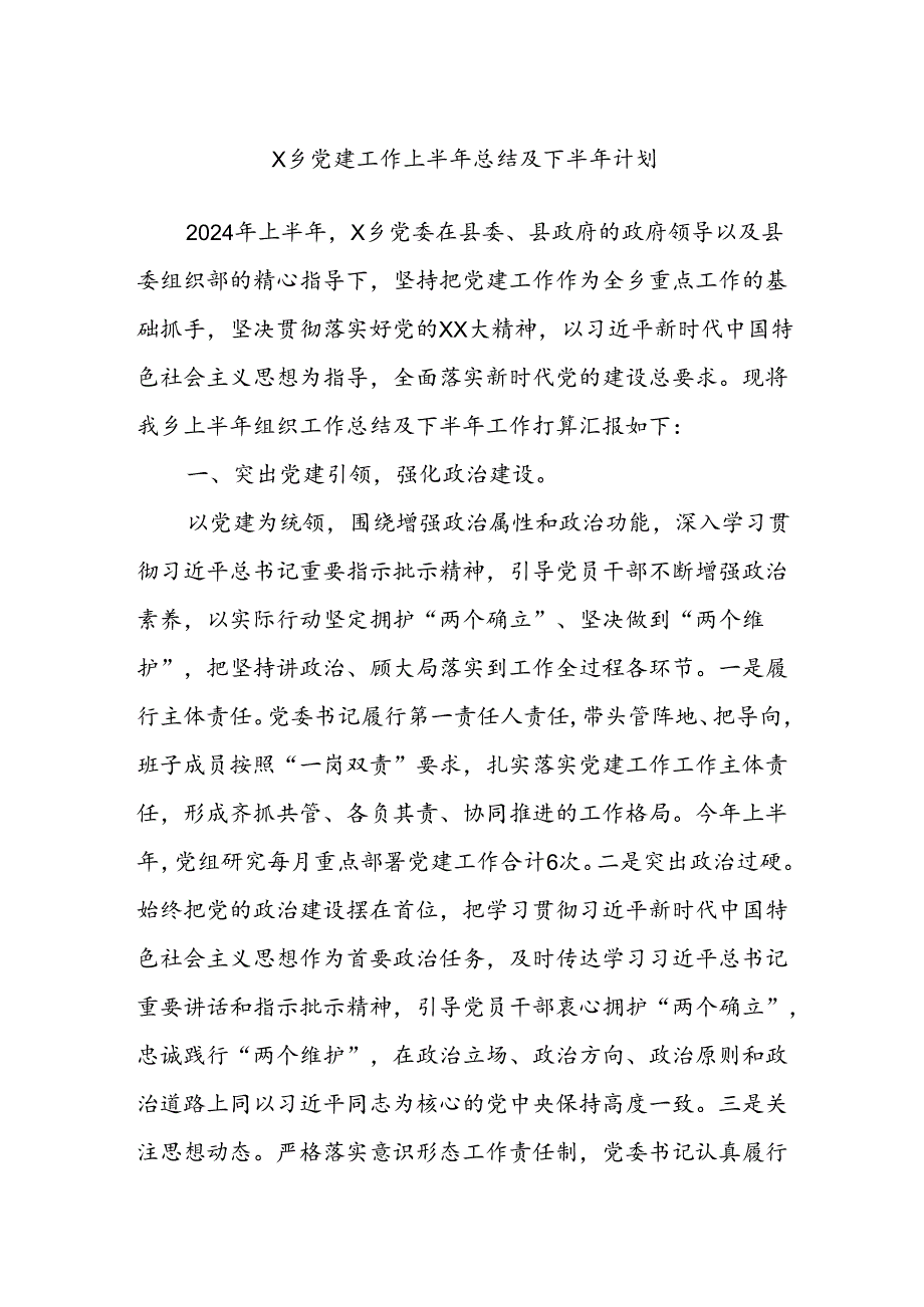 X乡党建工作上半年总结及下半年计划.docx_第1页