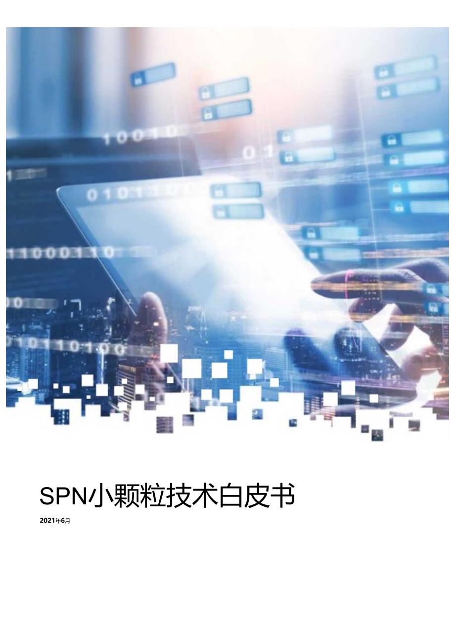 SPN小颗粒技术白皮书.docx_第1页