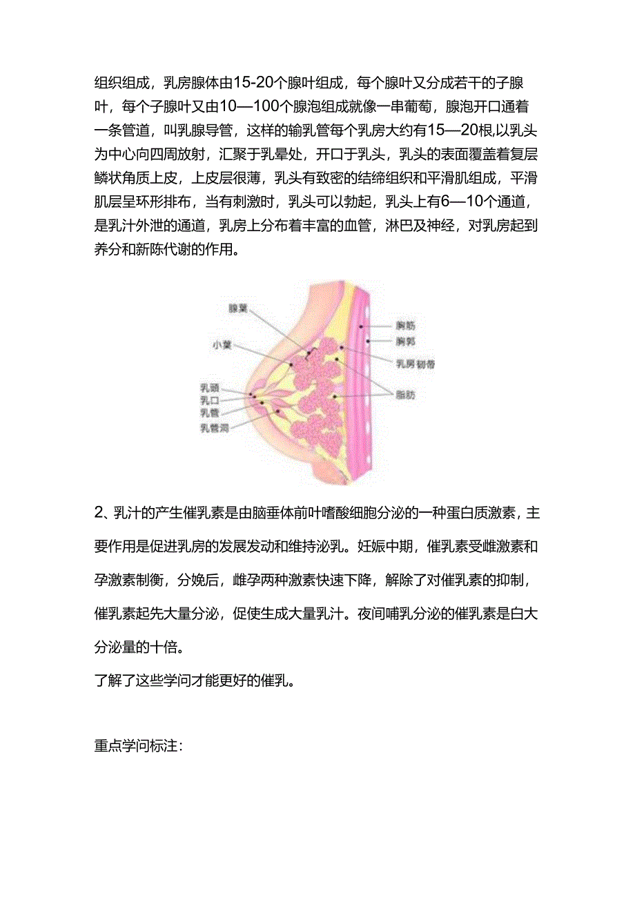 催乳师培训材料.docx_第2页