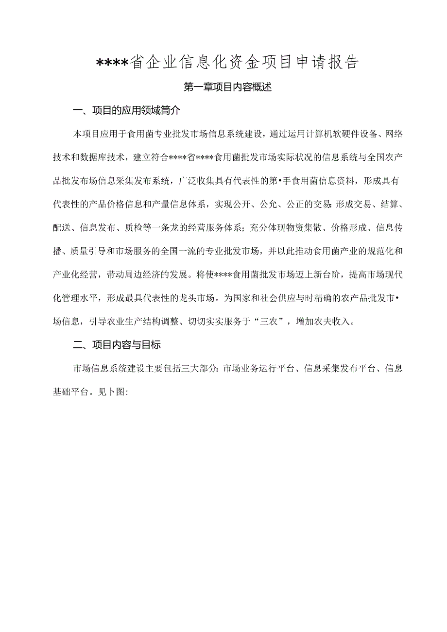 企业信息化资金项目申请报告.docx_第1页