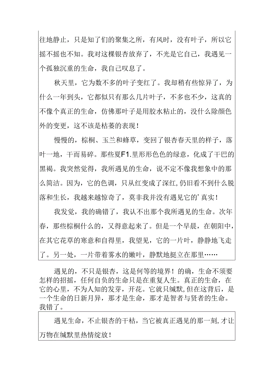 以遇见为话题的记叙文.docx_第3页