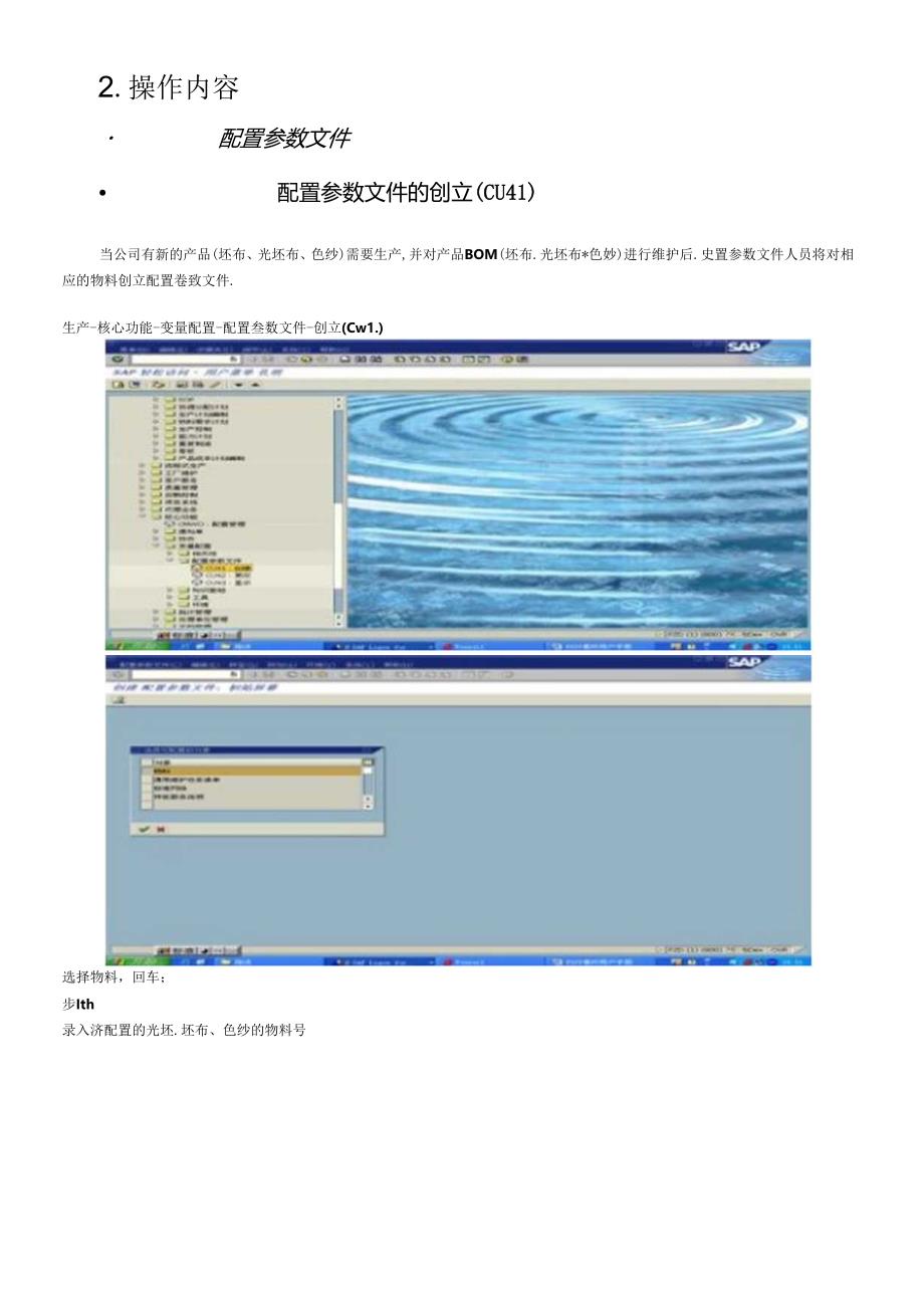 SAP配置参数文件(doc 29页).docx_第3页