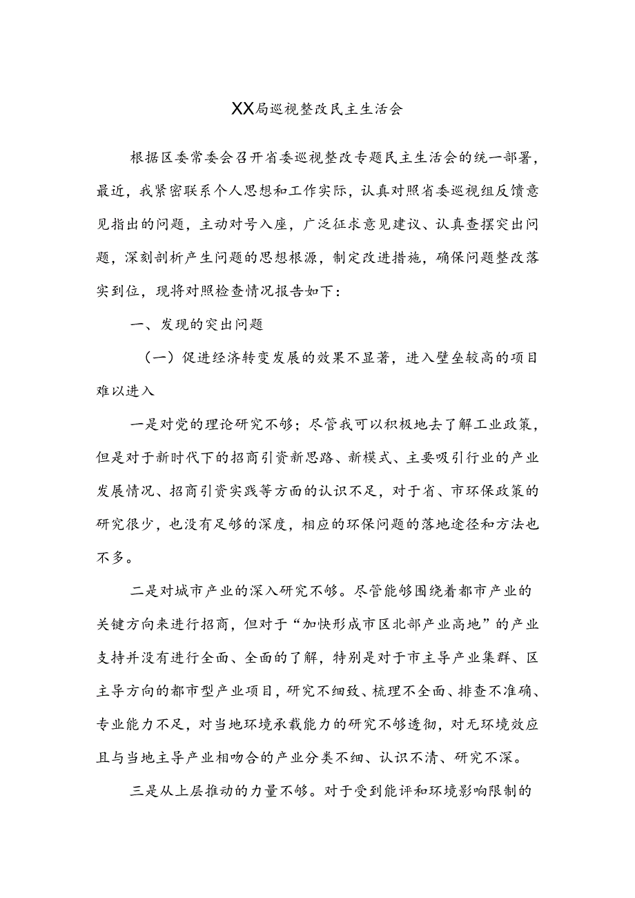 XX局巡视整改民主生活会.docx_第1页