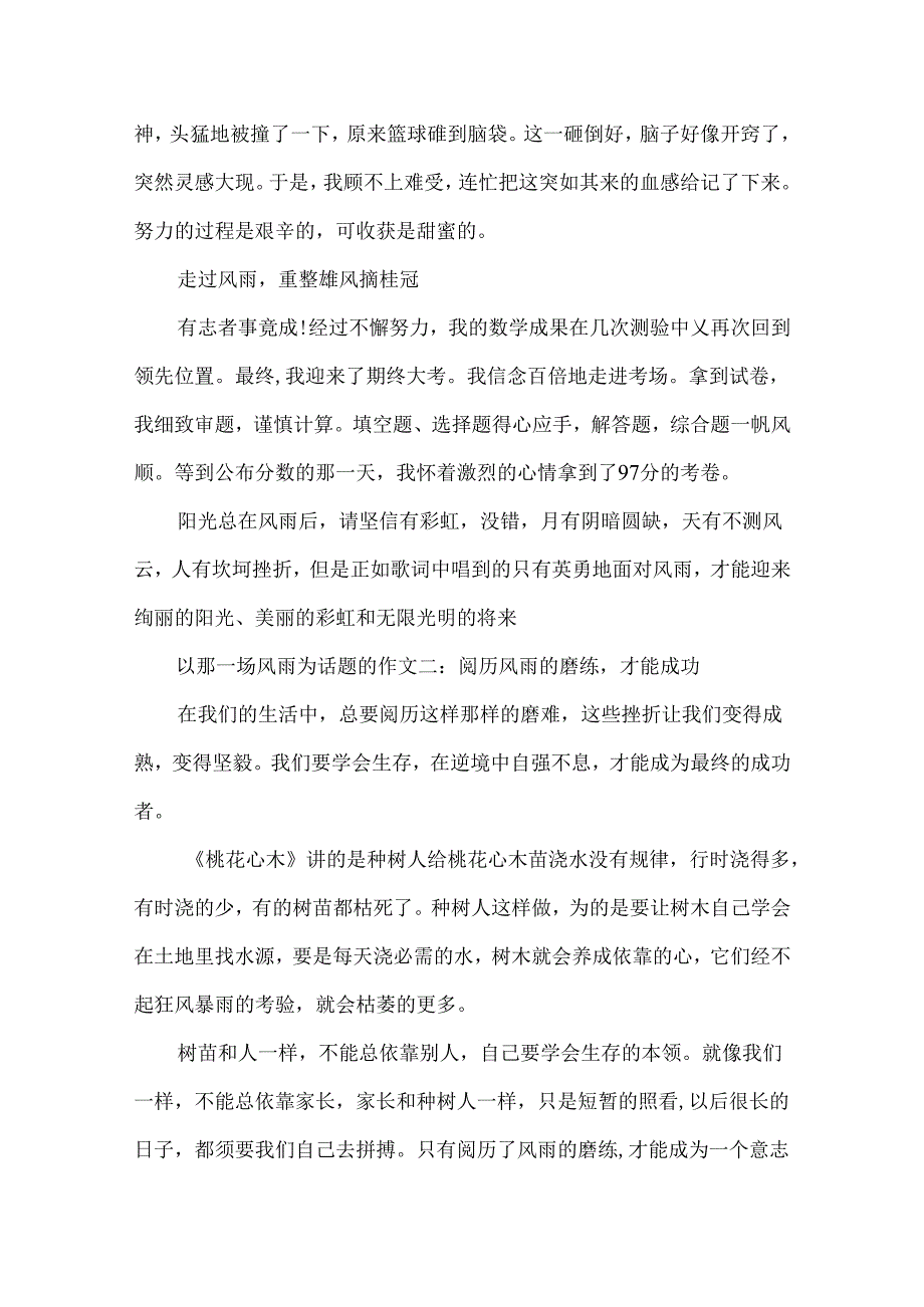 以那一场风雨为话题的作文5篇.docx_第2页