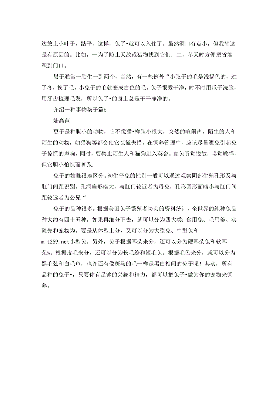 介绍一种事物兔子作文（优秀3篇）.docx_第2页