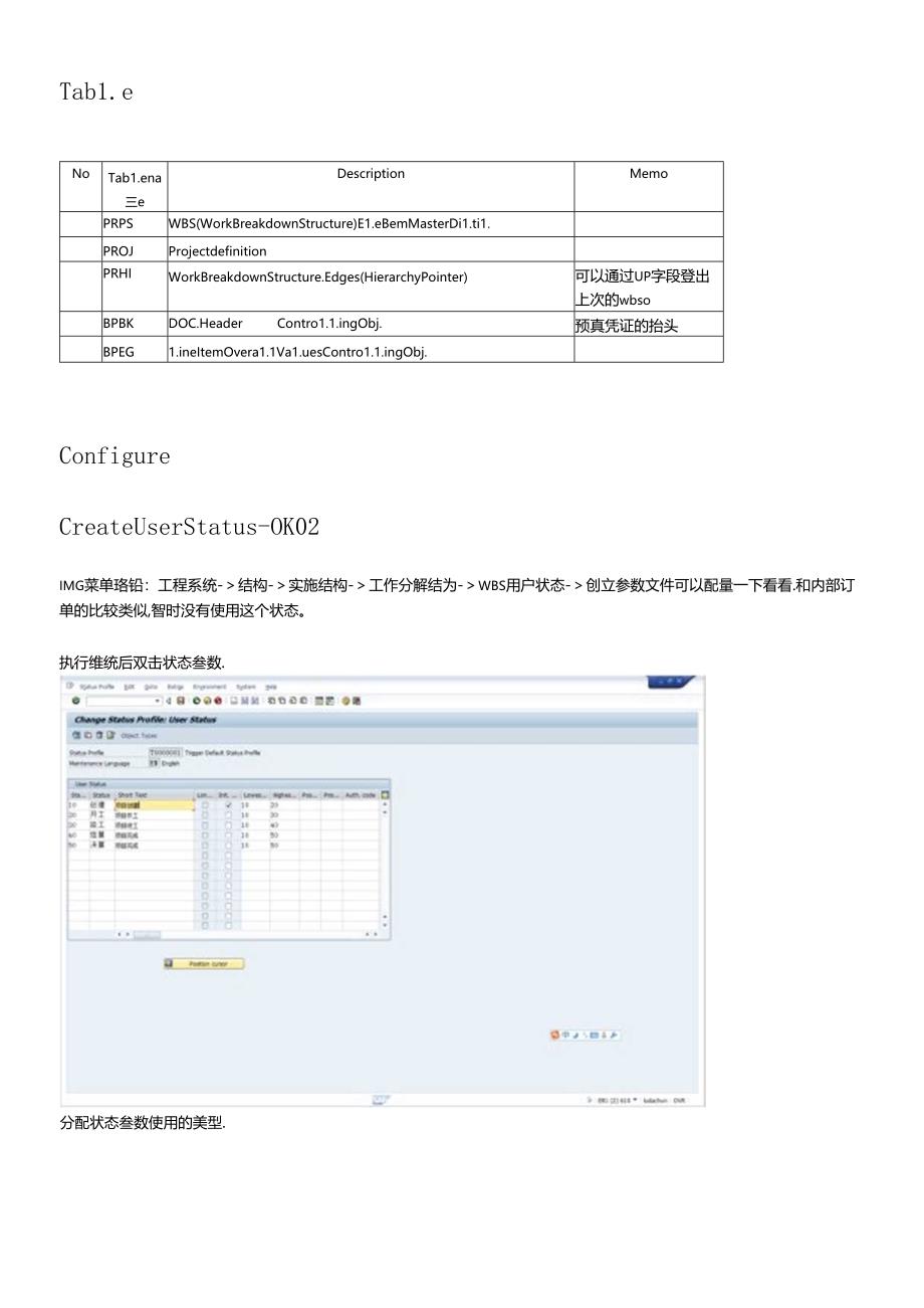 SAPPS模块配置和操作手册.docx_第2页