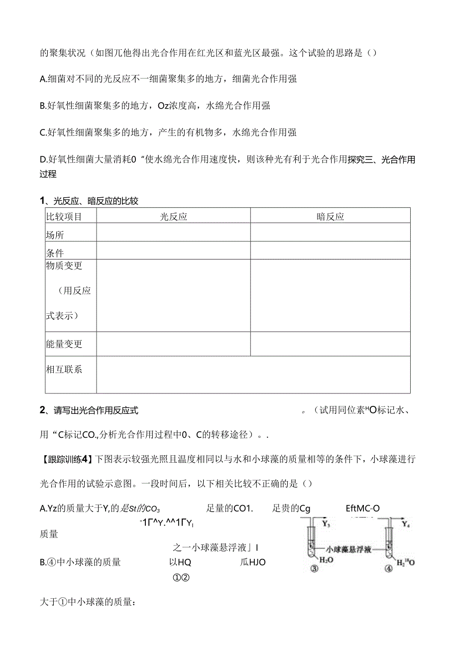 人教版教学教案光合作用一轮复习课堂导学案定稿[1].docx_第3页