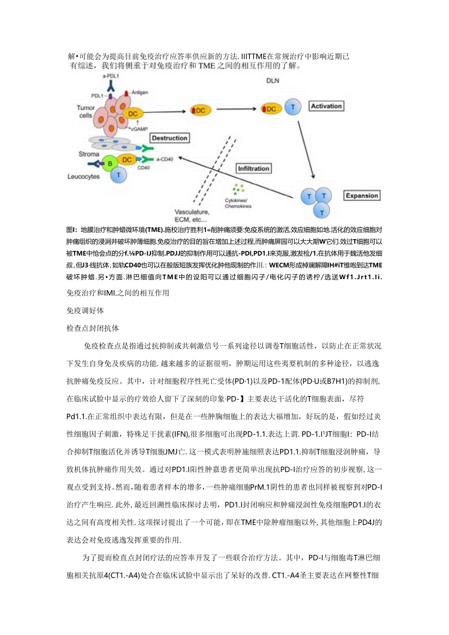 免疫治疗及肿瘤微环境.docx_第2页