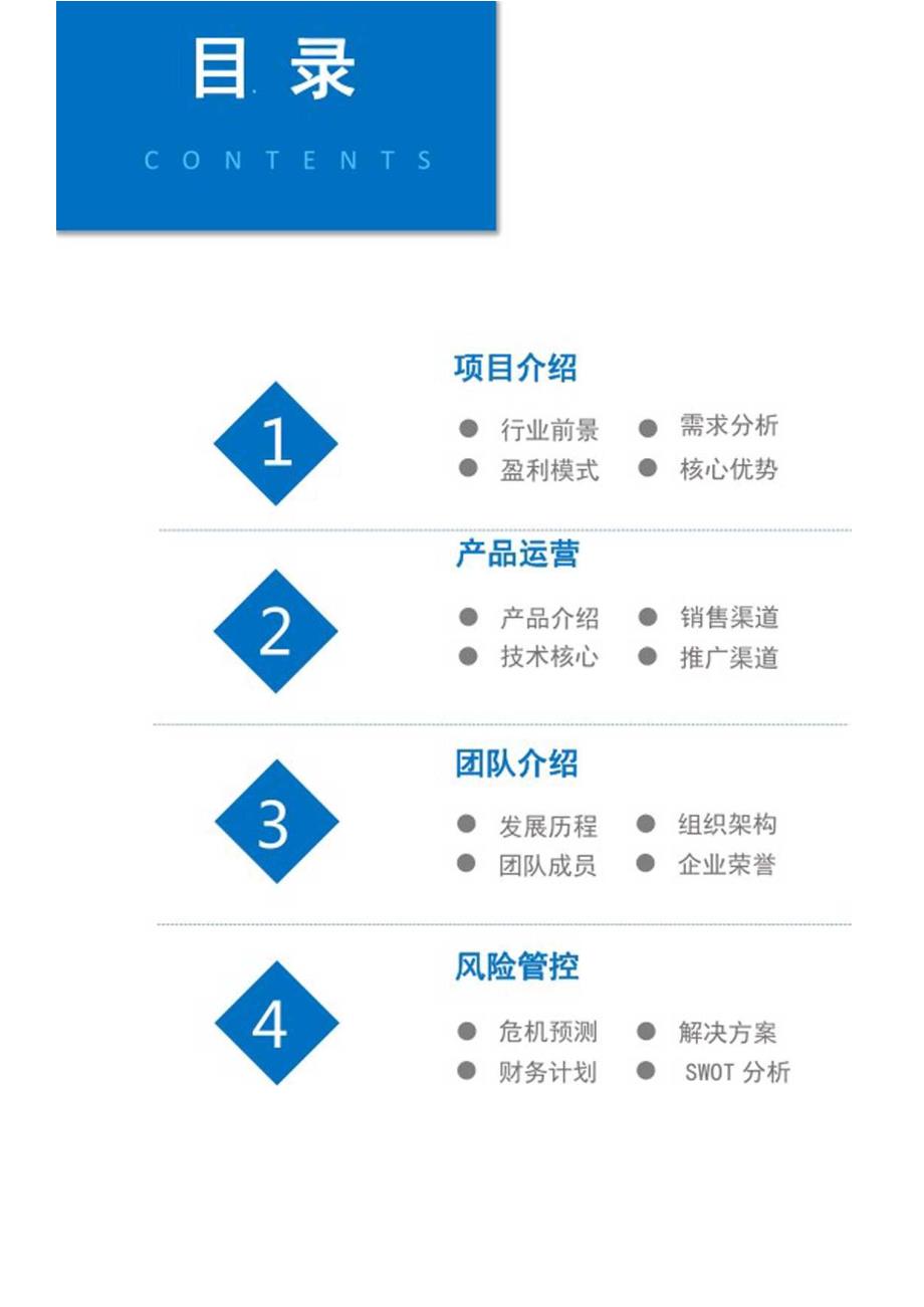 公司商业项目计划书模板.docx_第2页