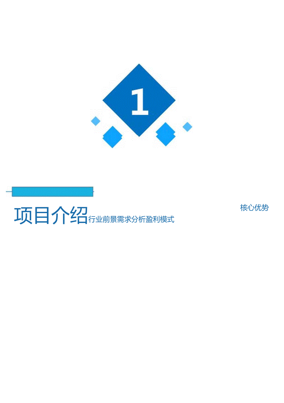 公司商业项目计划书模板.docx_第3页