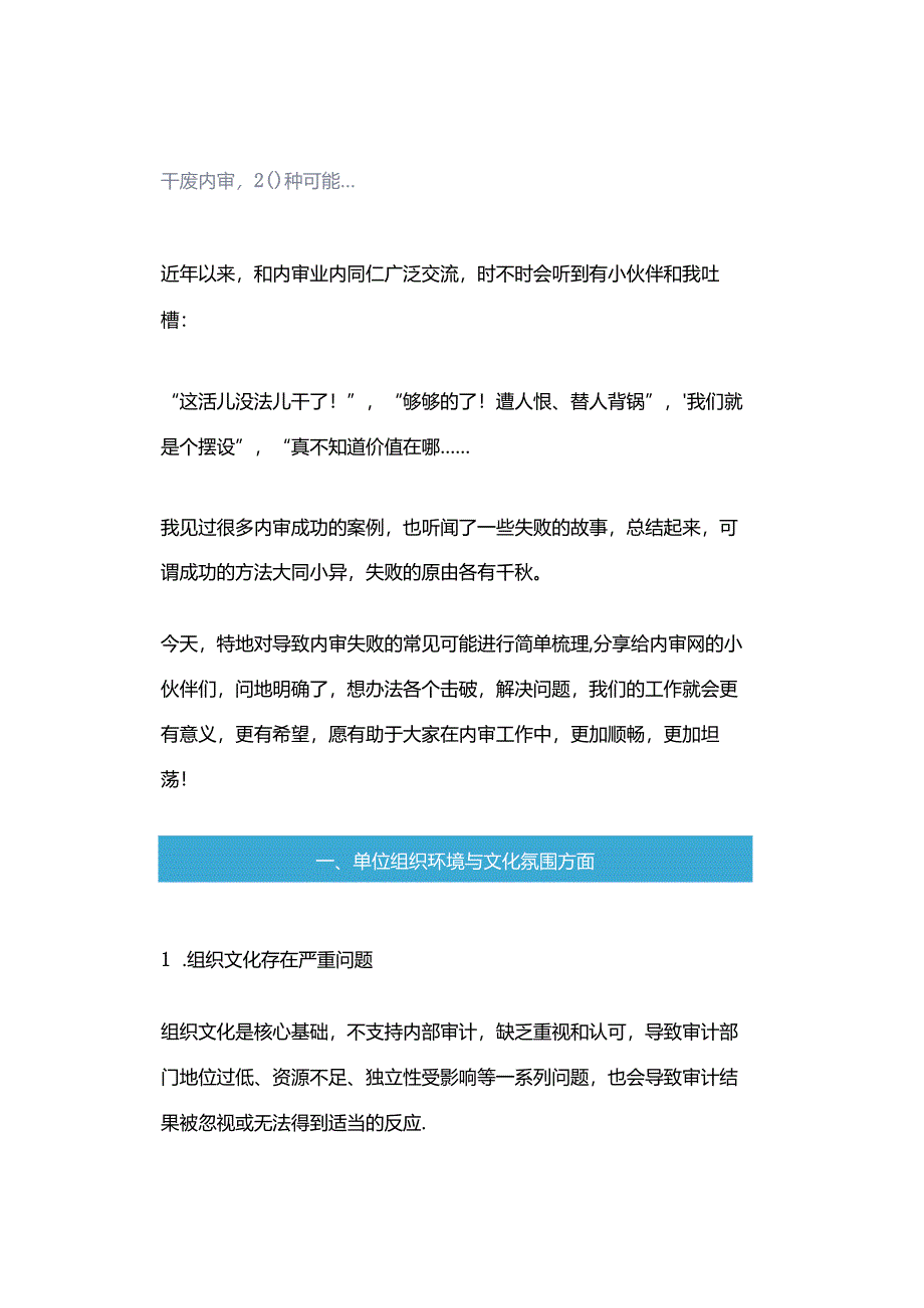 「转」干废内审20种可能….docx_第1页