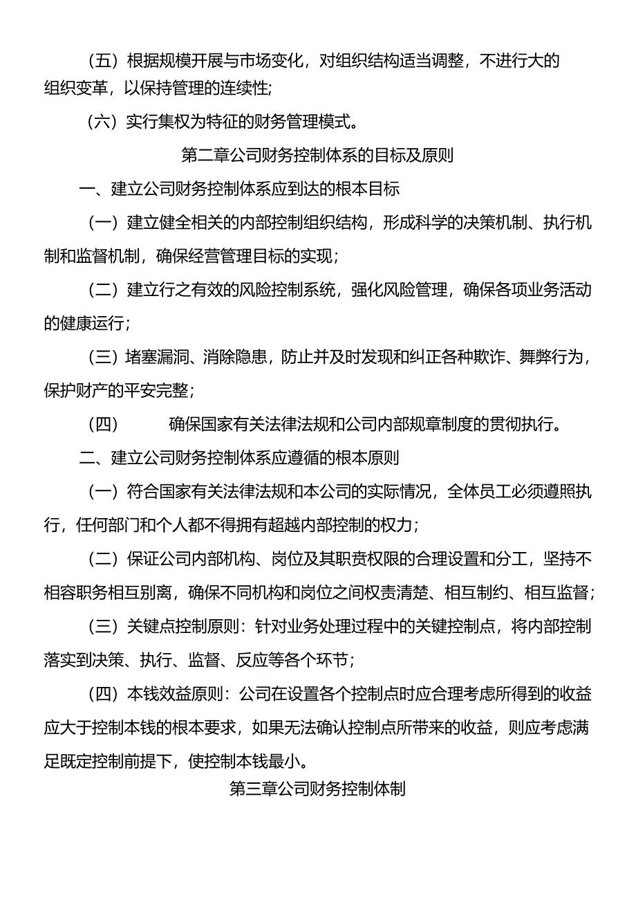 XX公司财务控制体系.docx_第3页