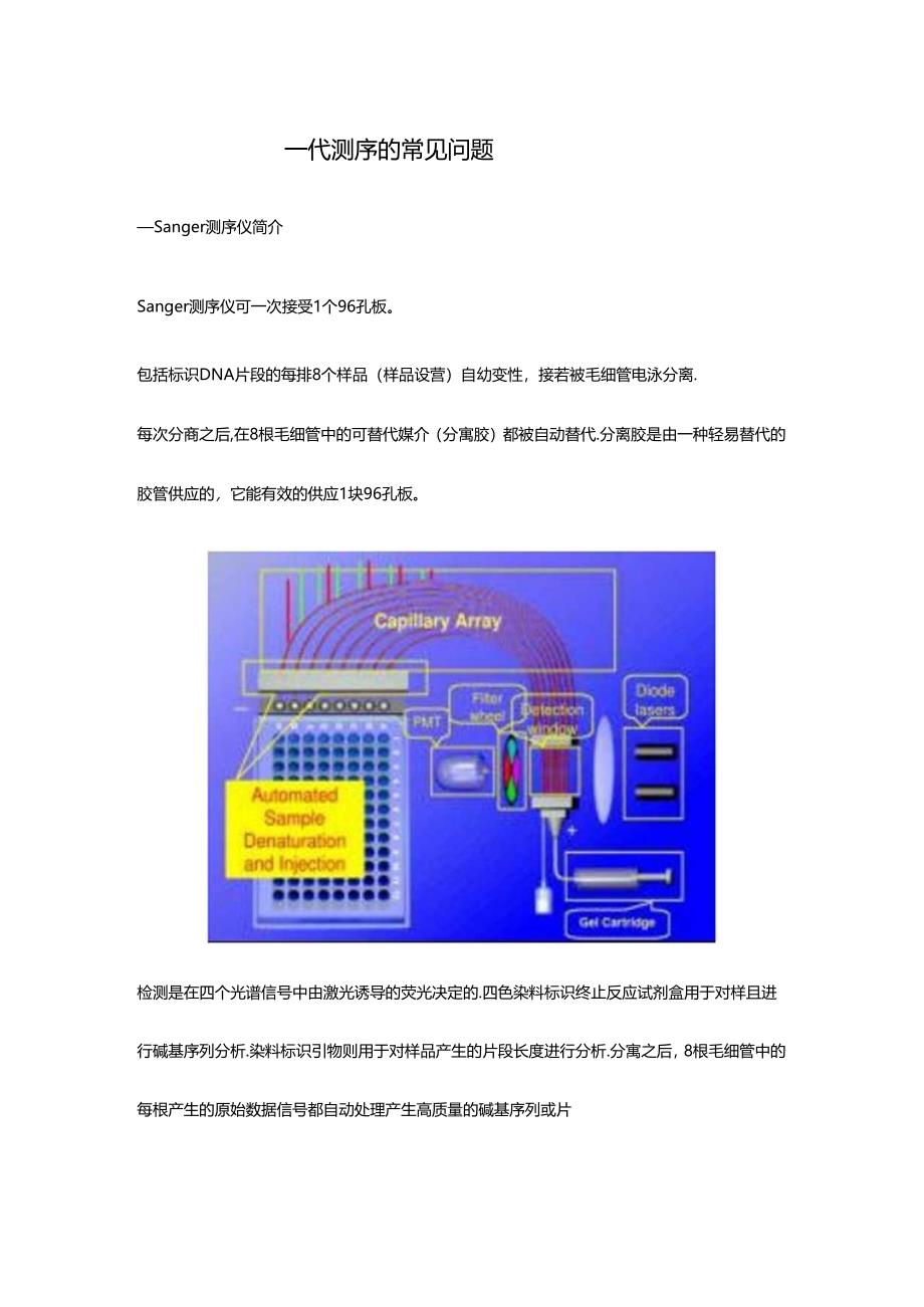 一代测序峰图说明.docx_第1页