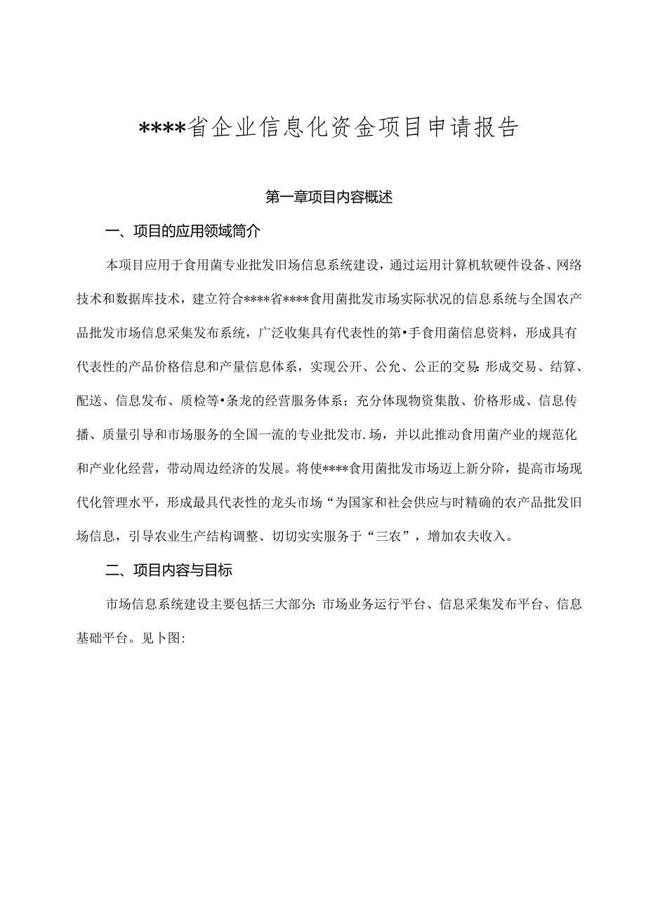 企业信息化资金项目申请报告.docx_第1页