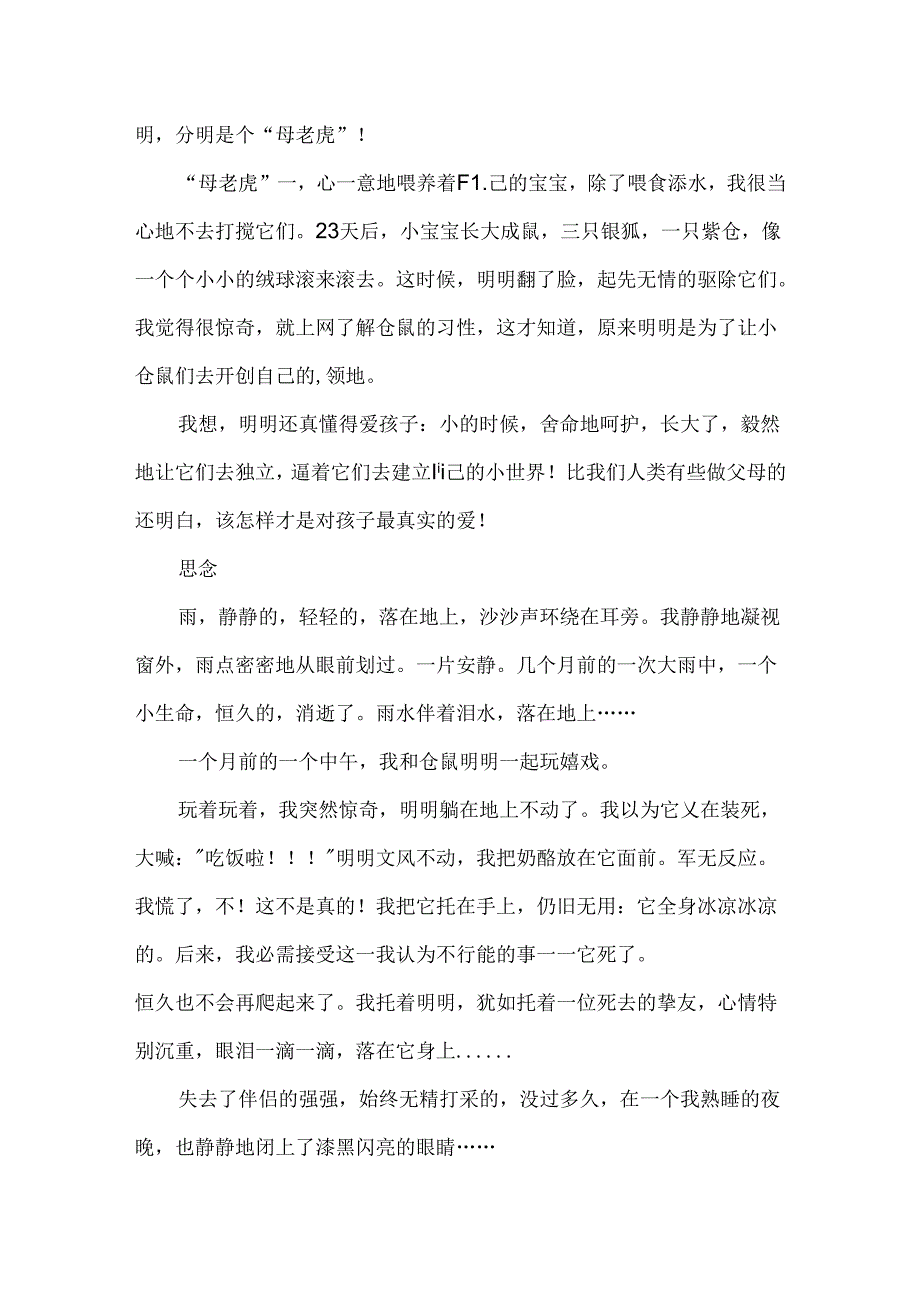 仓鼠明明和强强初一作文.docx_第3页