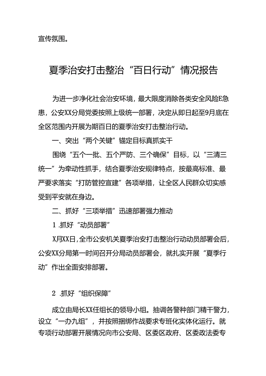 公安2024年夏季治安打击整治行动工作总结报告26篇.docx_第3页