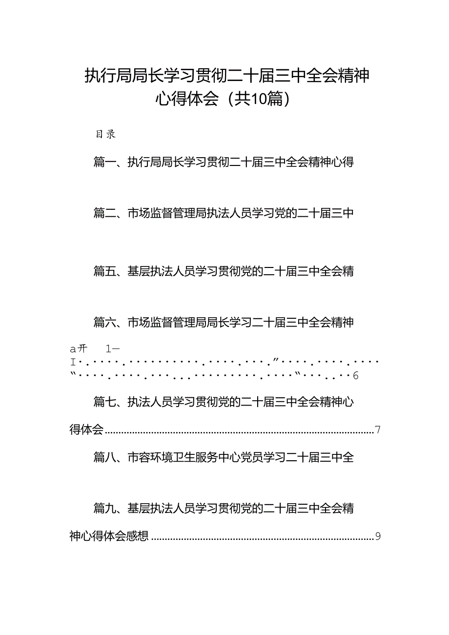 （10篇）执行局局长学习贯彻二十届三中全会精神心得体会范文.docx_第1页