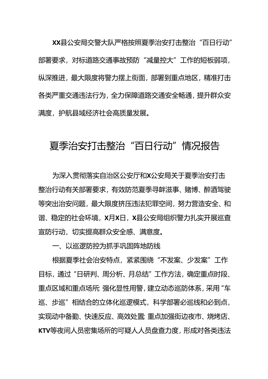 公安2024年夏季治安打击整治“百日行动”情况总结报告26篇.docx_第3页