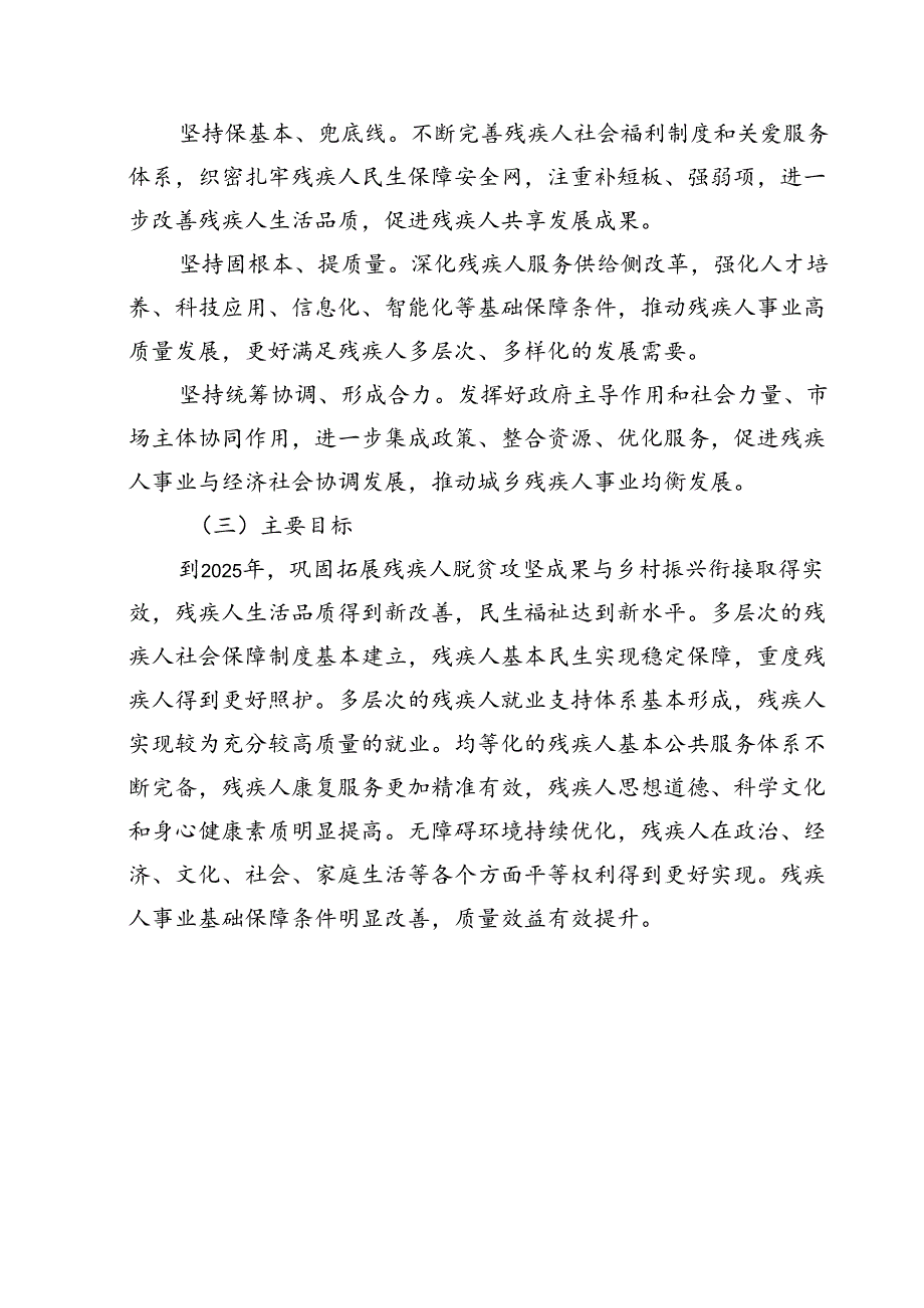 关于新时代残疾人保障和发展规划.docx_第2页