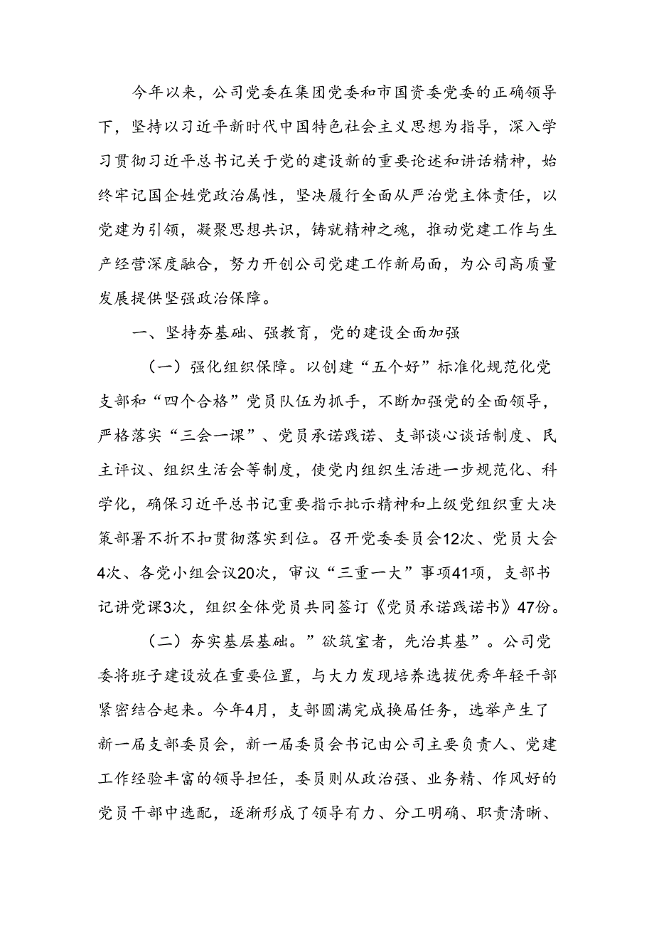 2024年上半年履行全面从严治党主体责任工作情况的报告.docx_第1页