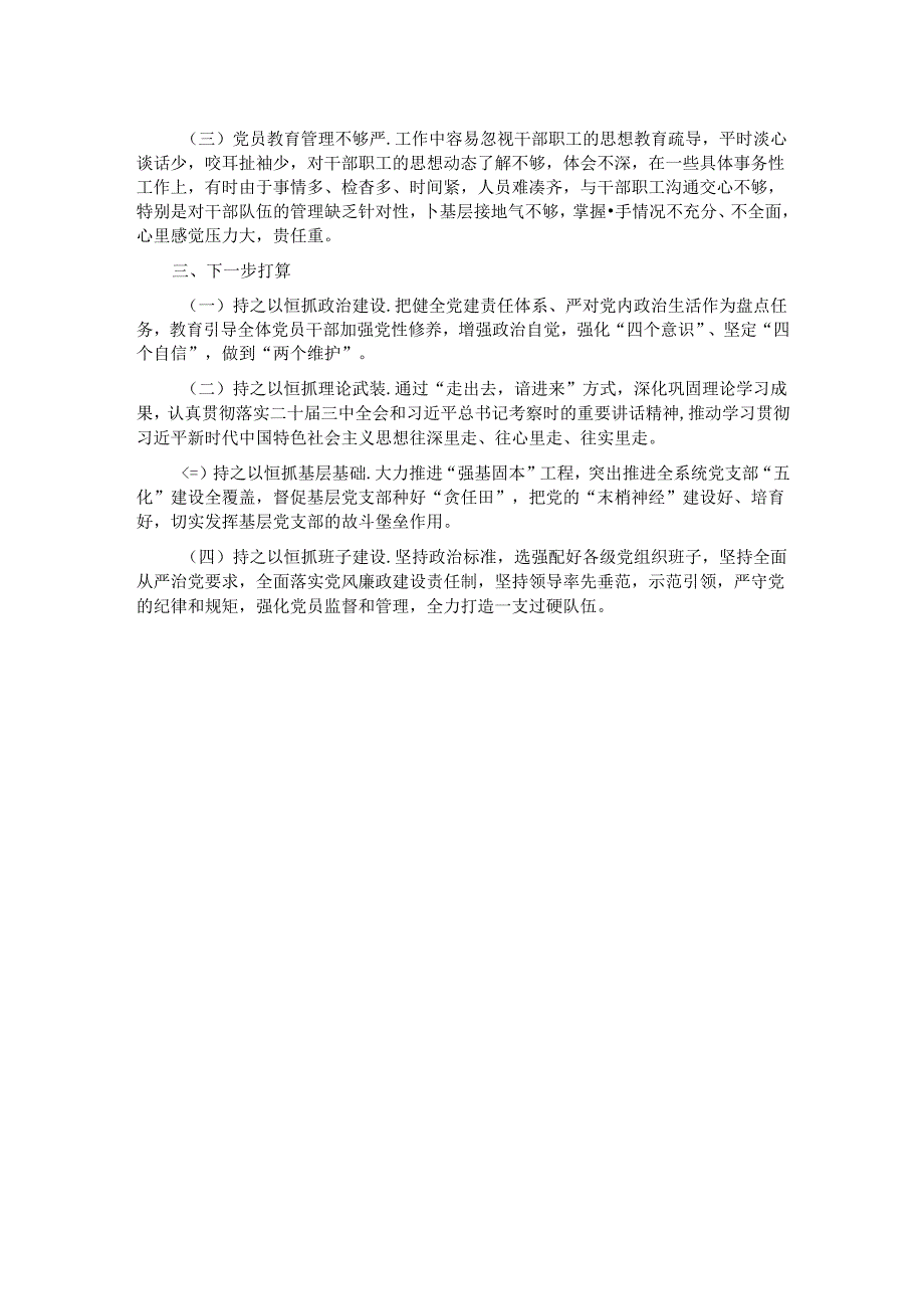 2024年党组织书记履行全面从严治党第一责任人责任述职报告.docx_第2页