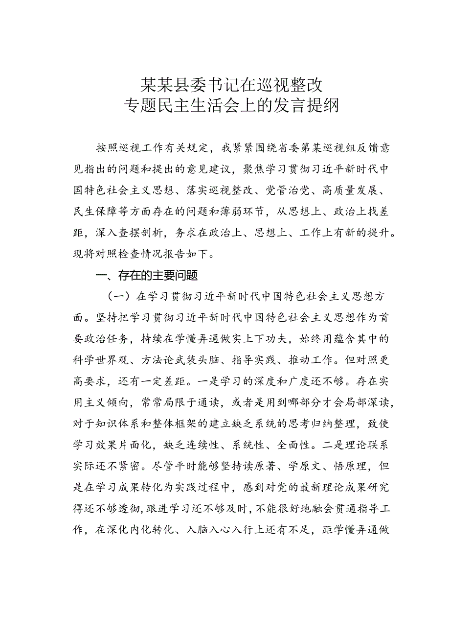 某某县委书记在巡视整改专题民主生活会上的发言提纲.docx_第1页