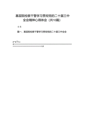 （10篇）基层院检察干警学习贯彻党的二十届三中全会精神心得体会（详细版）.docx
