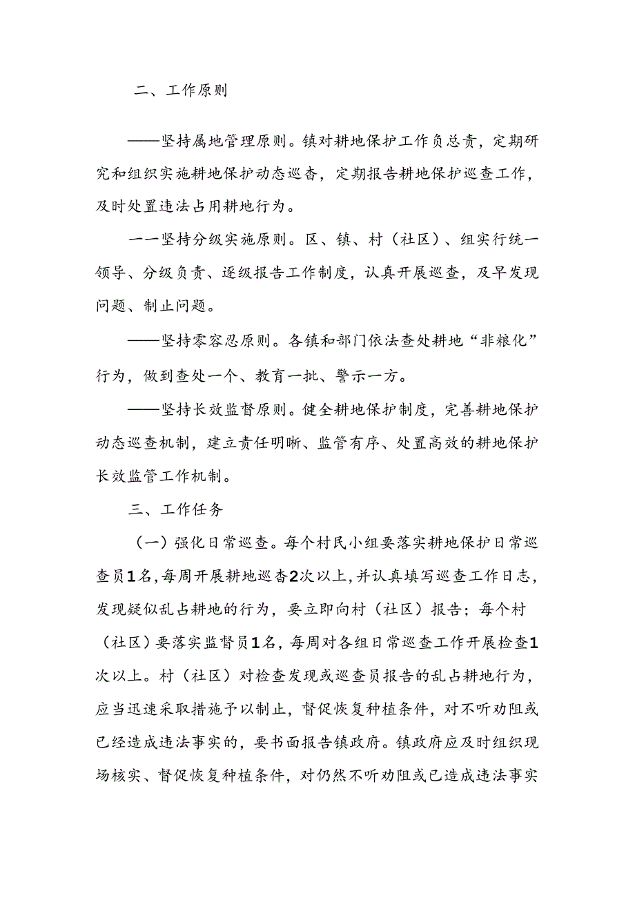 XX区全面建立动态巡查机制严防耕地“非粮化”实施意见.docx_第2页