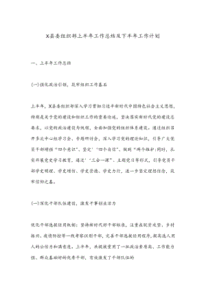 X县委组织部上半年工作总结及下半年工作计划.docx