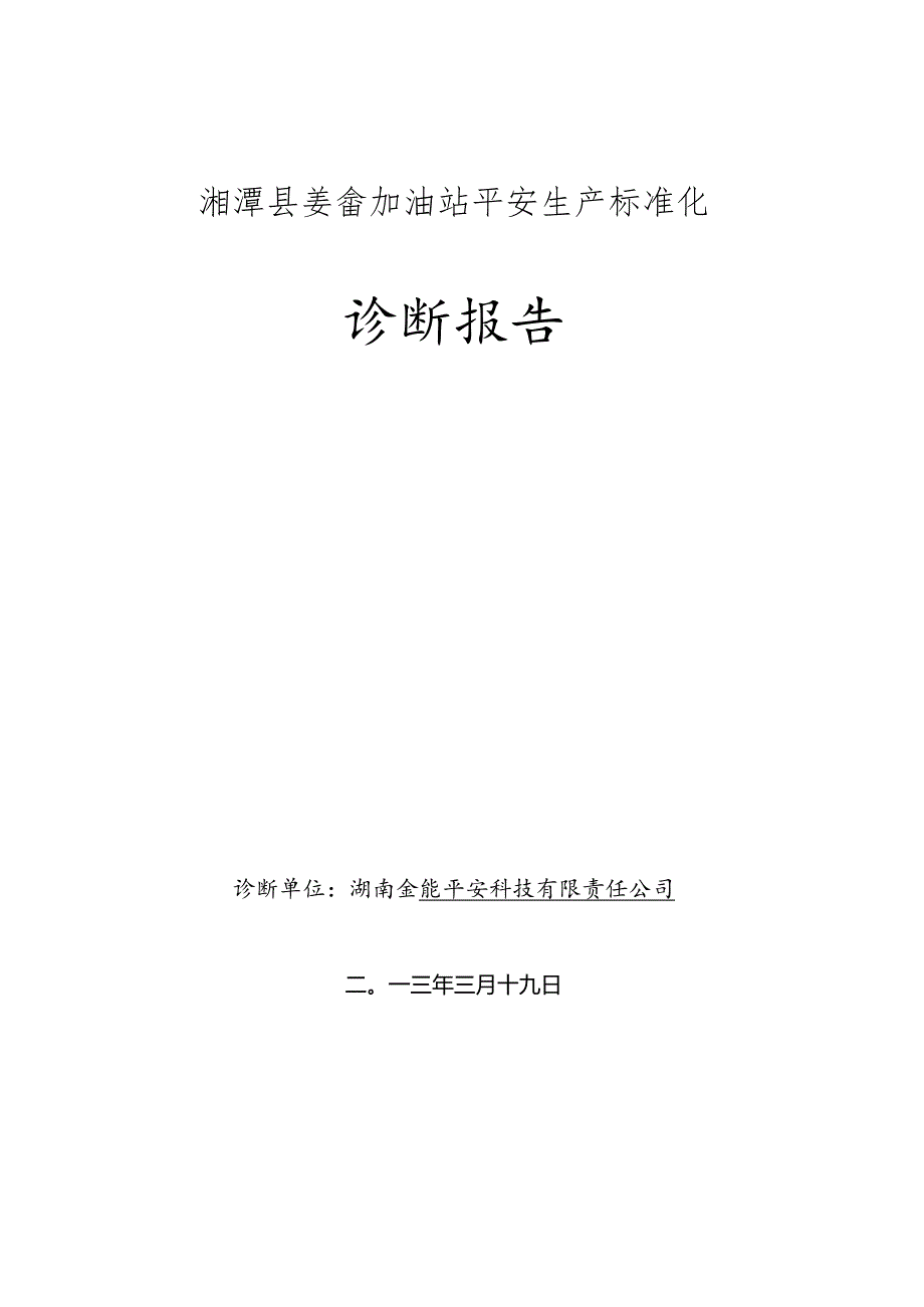 加油站咨询诊断报告要点.docx_第1页