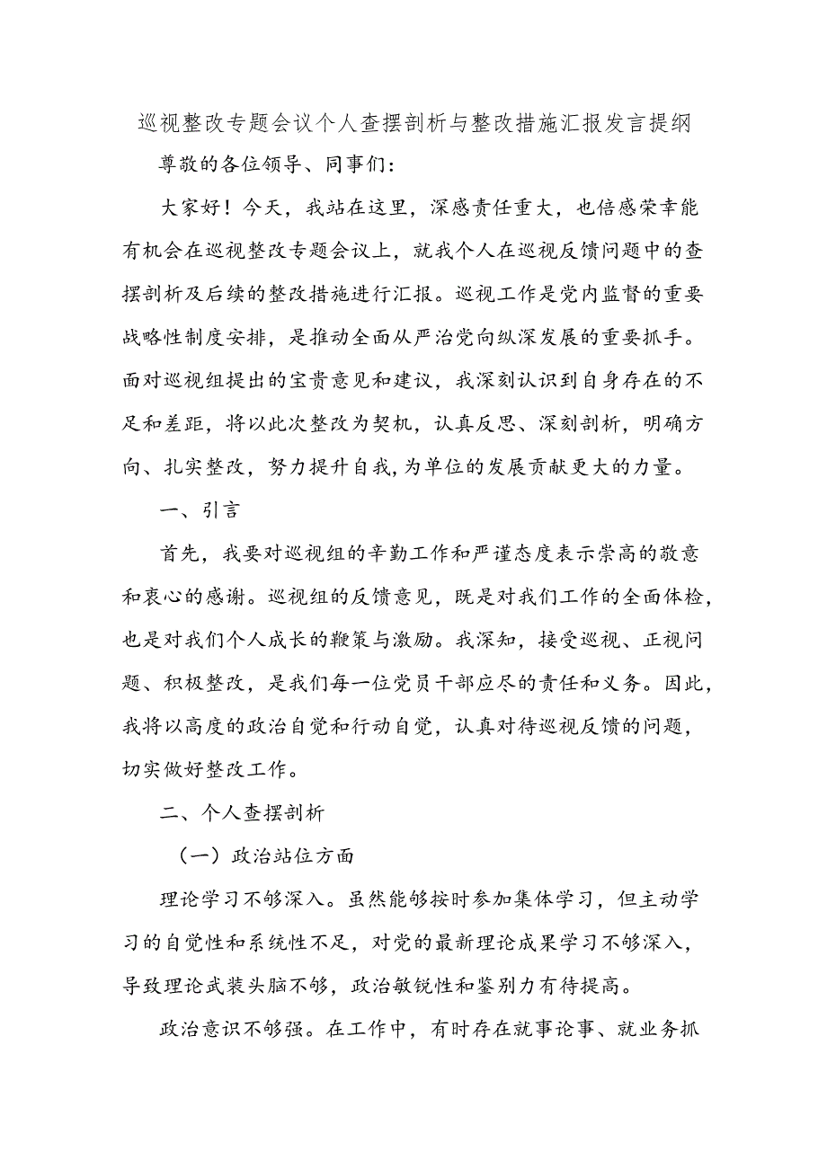 巡视整改专题会议个人查摆剖析与整改措施汇报发言提纲.docx_第1页