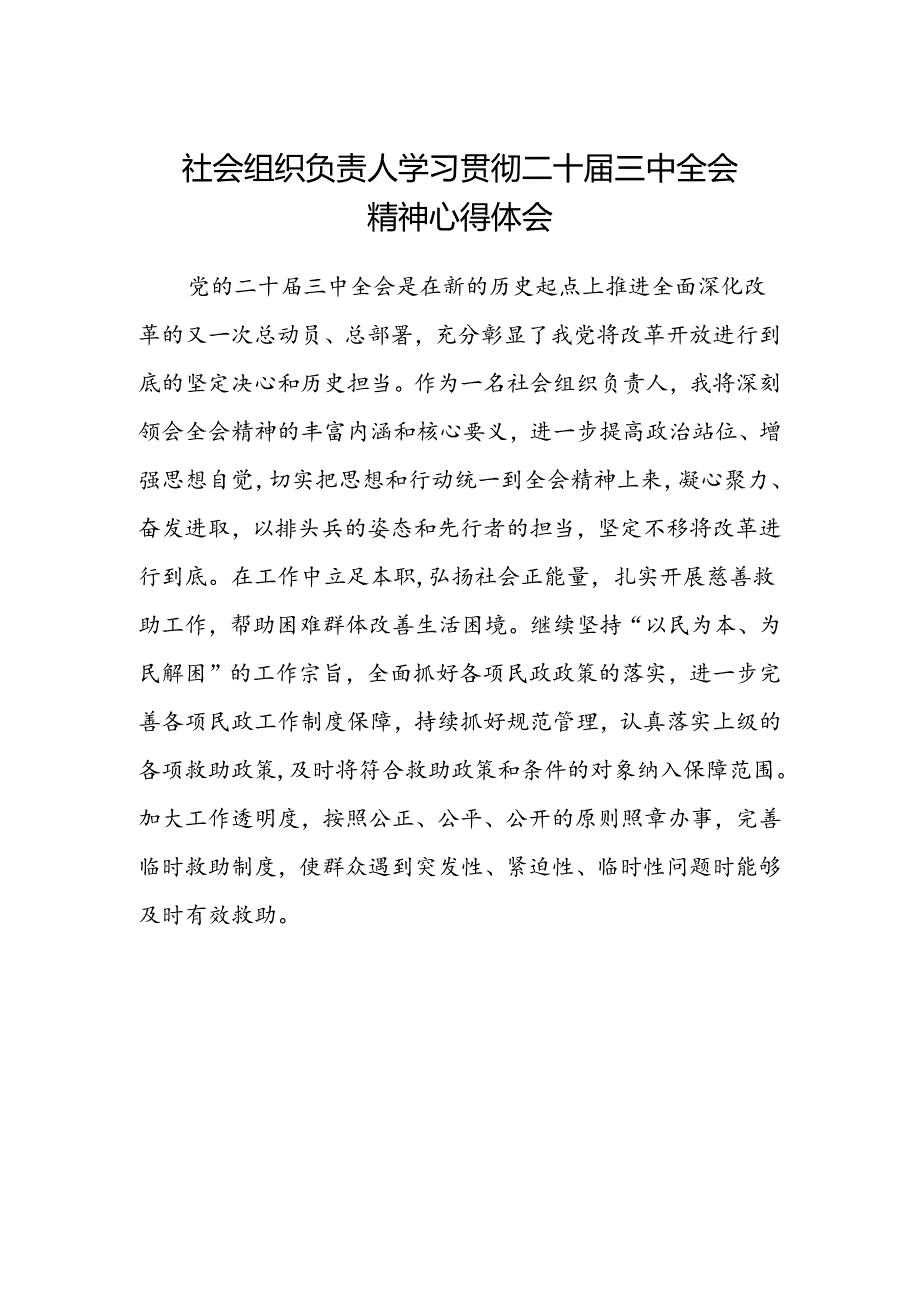 社会组织负责人学习贯彻二十届三中全会精神心得体会.docx_第1页