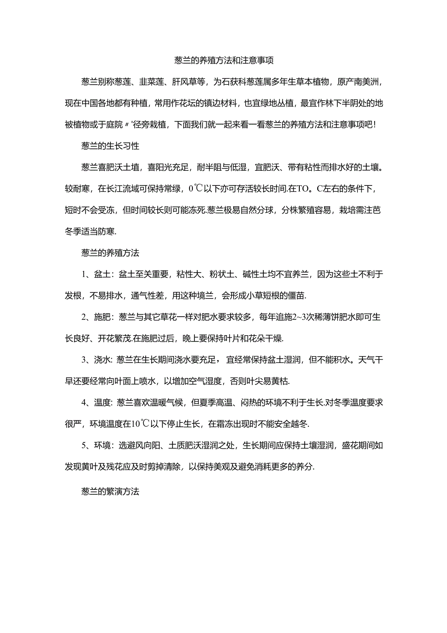 葱兰的养殖方法和注意事项.docx_第1页