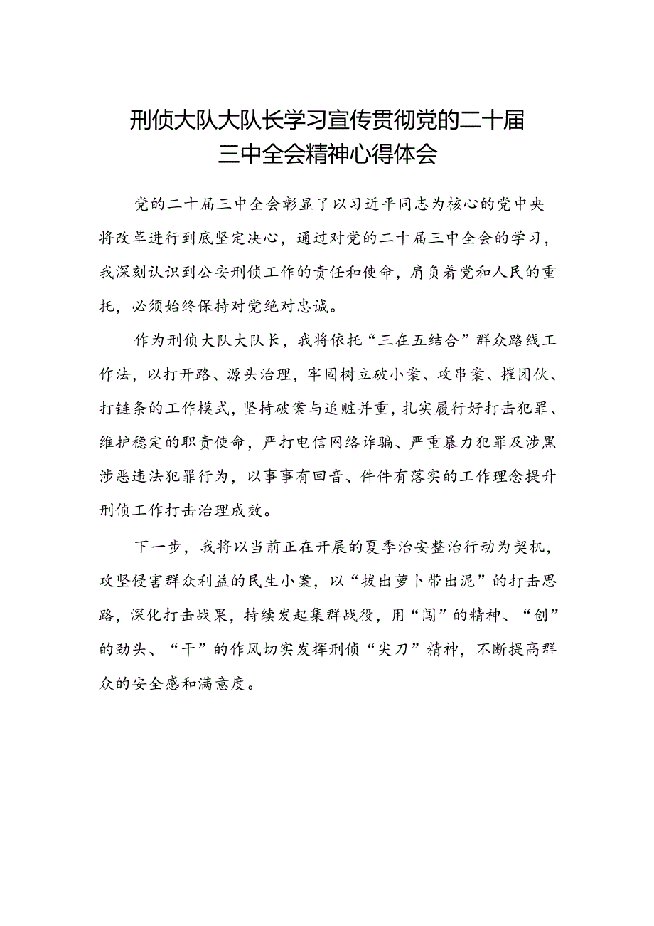 刑侦大队大队长学习宣传贯彻党的二十届三中全会精神心得体会.docx_第1页