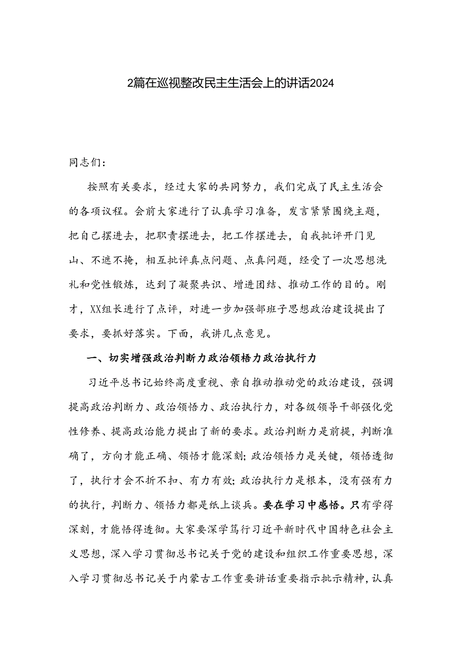 2篇在巡视整改民主生活会上的讲话2024.docx_第1页