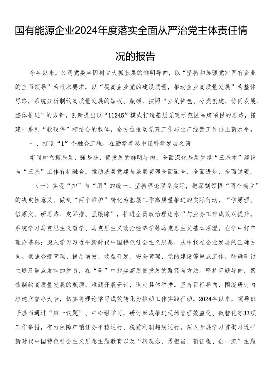 国有能源企业2024年度落实全面从严治党主体责任情况的报告.docx_第1页