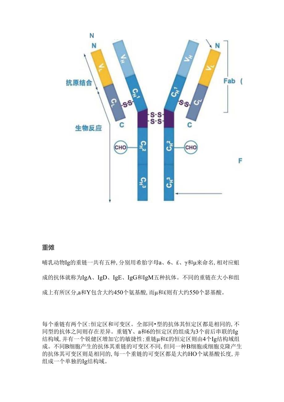 抗体和抗体的结构详解[1].docx_第2页