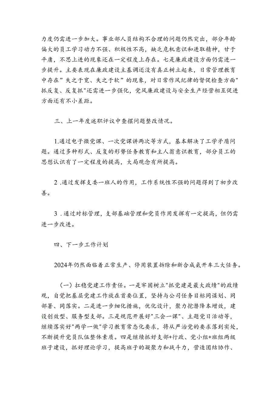 2024-2025年度抓基层党建工作述职报告2_1.docx_第3页