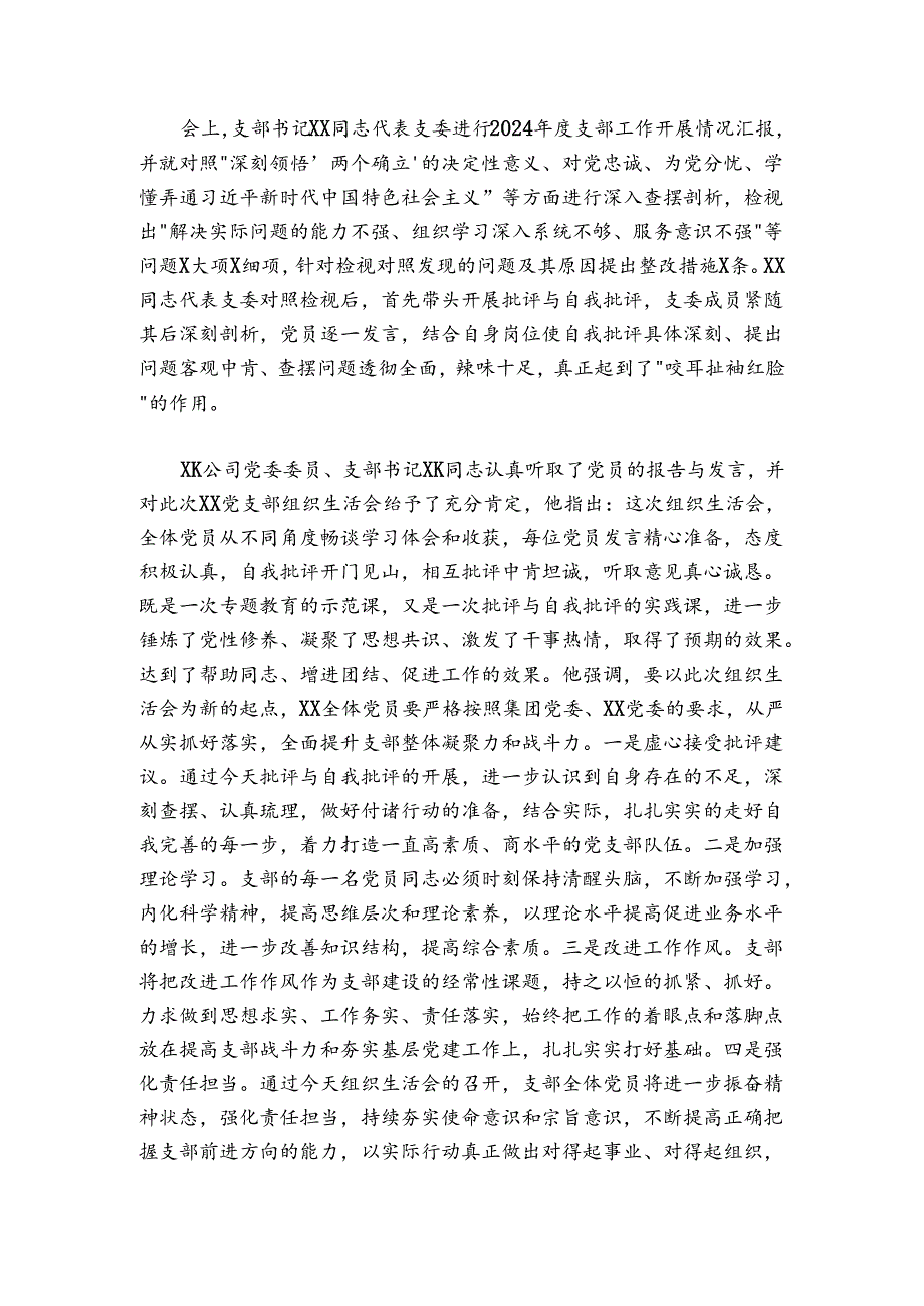 公司党支部关于2024-2025年度组织生活会召开情况的报告.docx_第3页