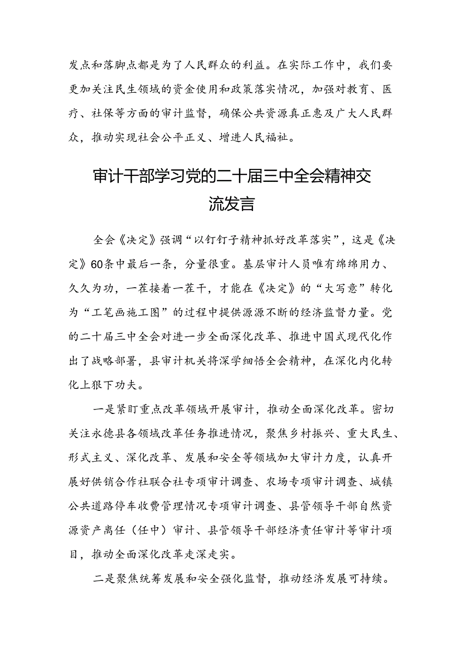 (5篇)审计人员学习二十届三中全会精神心得体会研讨发言（精选）.docx_第2页