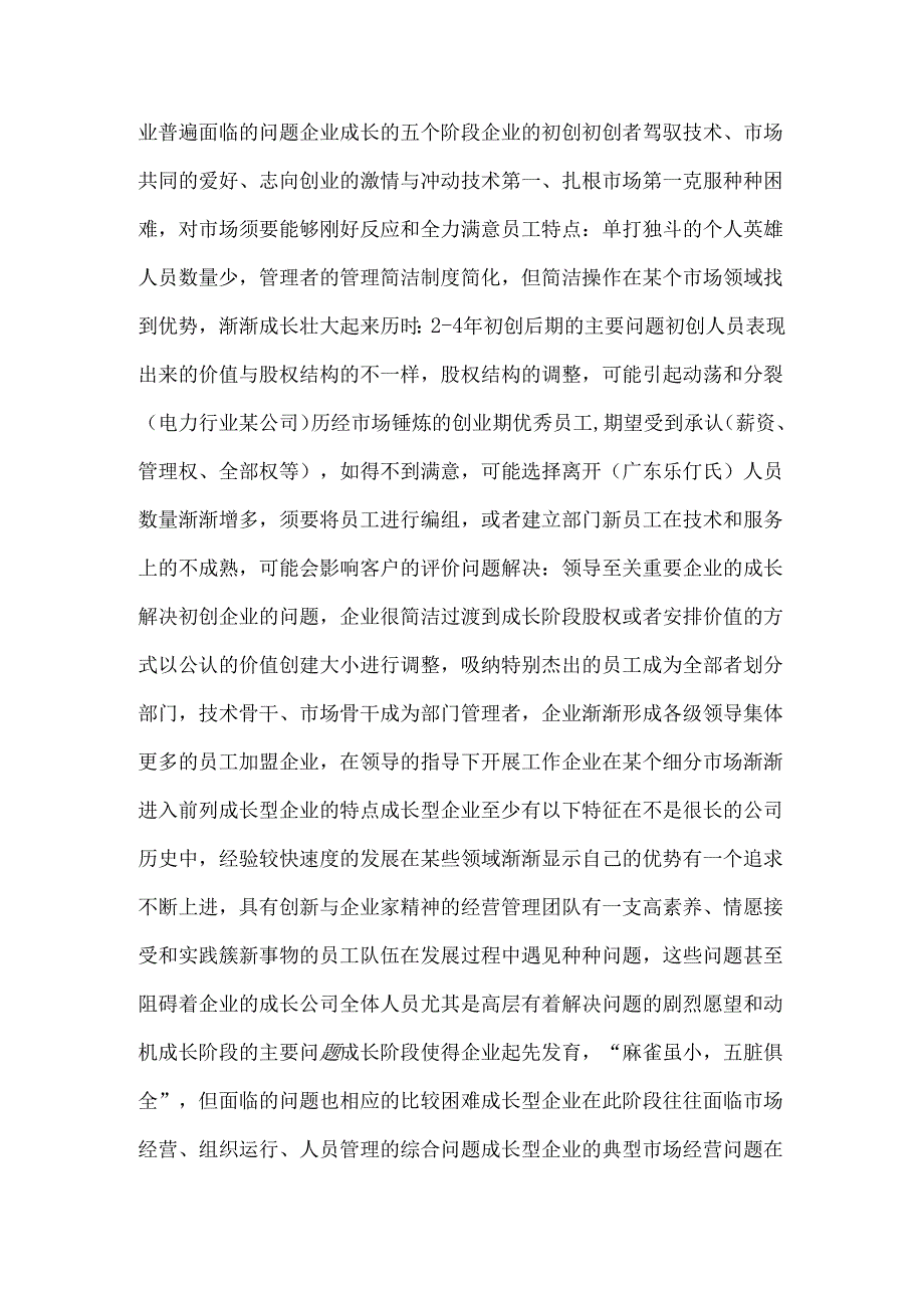 成长型企业的战略发展与变革管理.docx_第2页