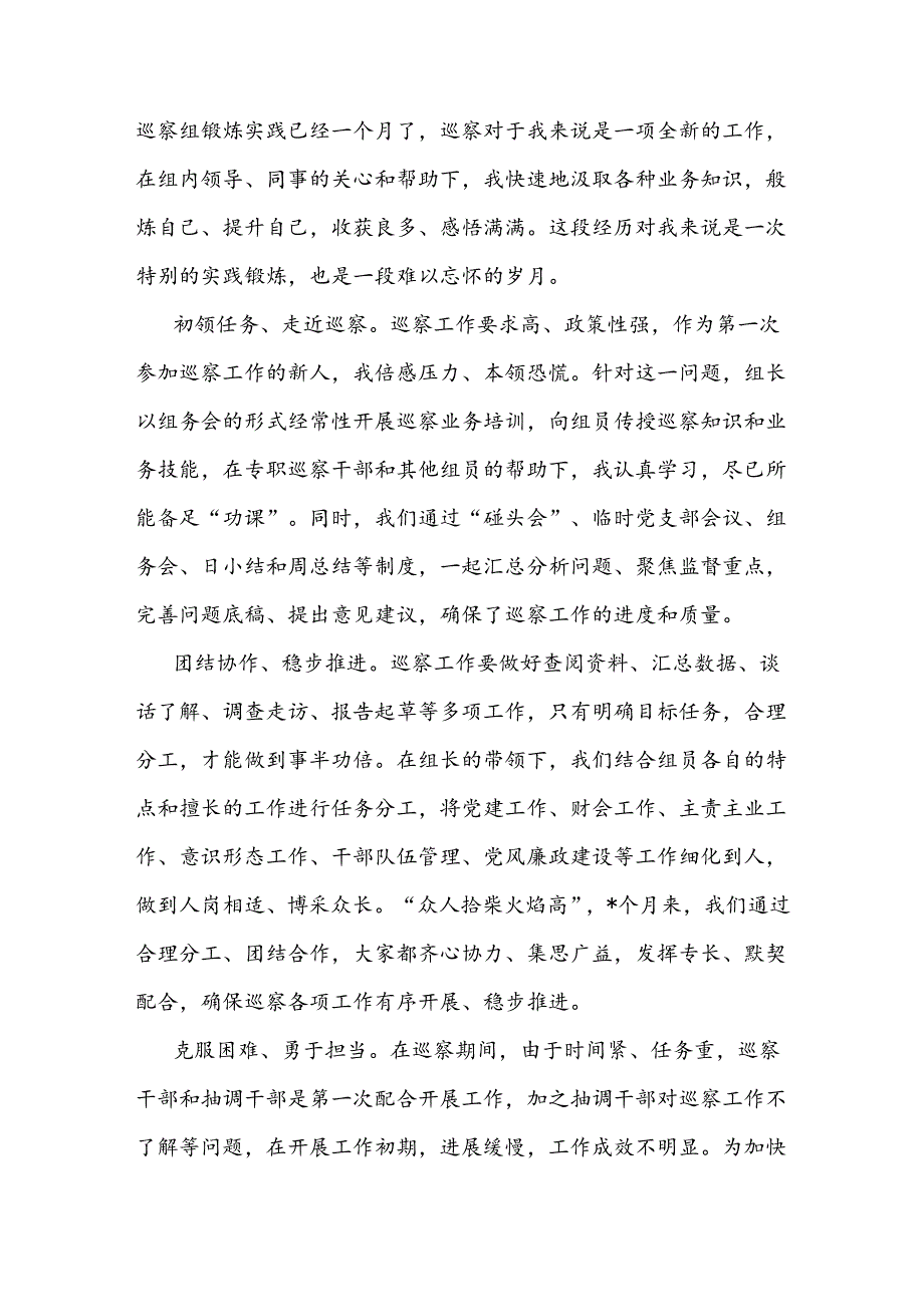 村党总支书记在县委巡察组巡察村党总支后表态发言稿.docx_第3页