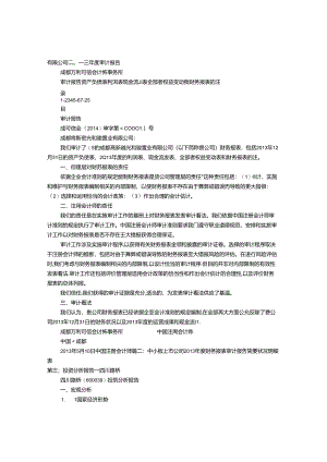 成都路桥审计报告.docx