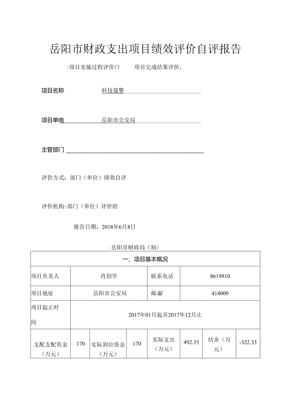 岳阳财政支出项目绩效评价自评报告.docx_第1页