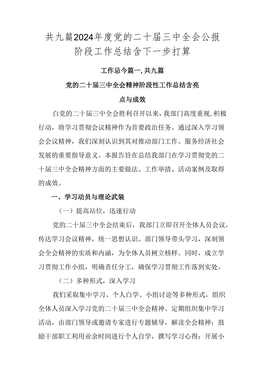 共九篇2024年度党的二十届三中全会公报阶段工作总结含下一步打算.docx_第1页