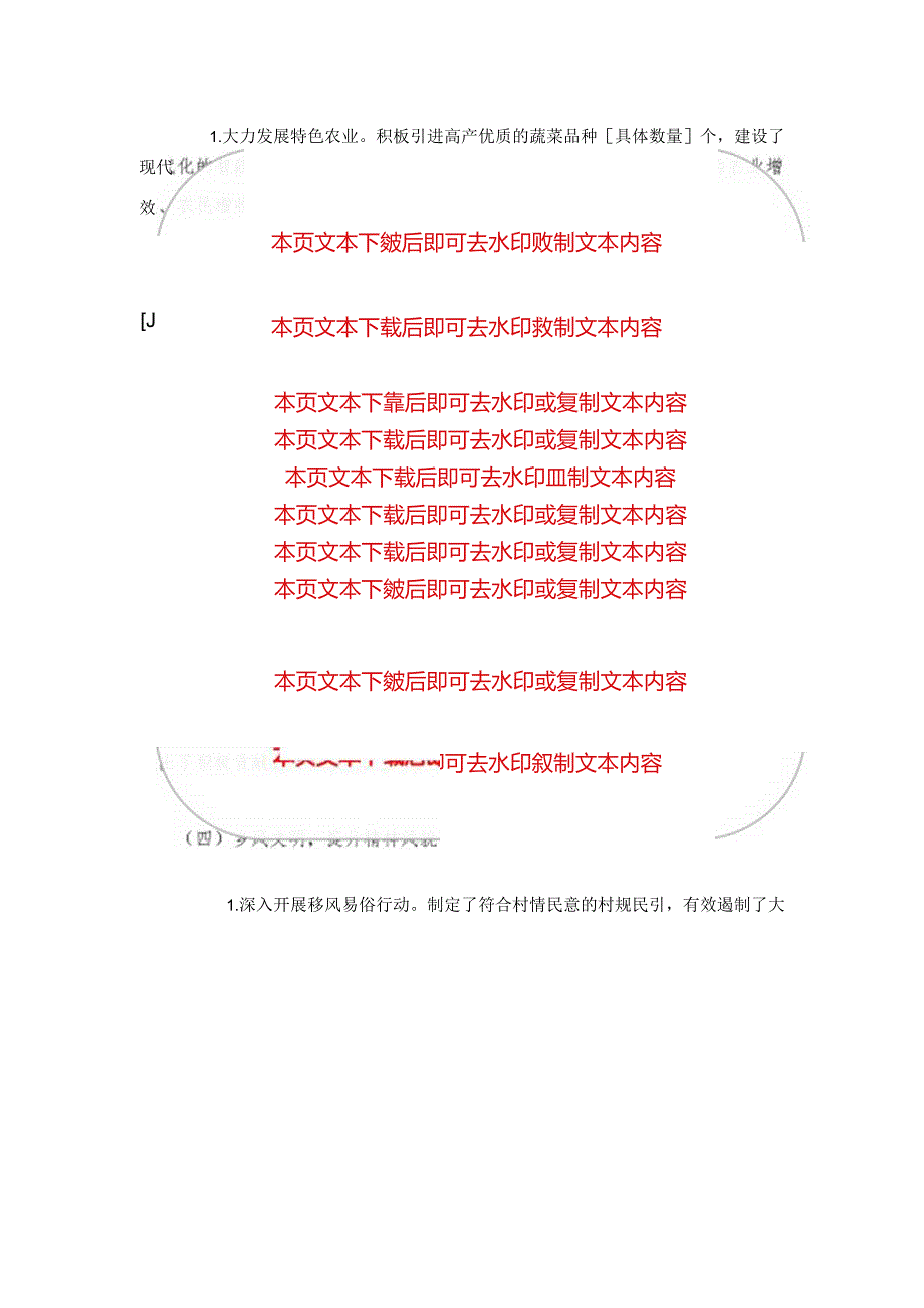 2024村党支部书记述职报告（精选）.docx_第3页